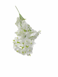 VARA GHIPSOFILA ART. FLD-8001 - Imagen 2