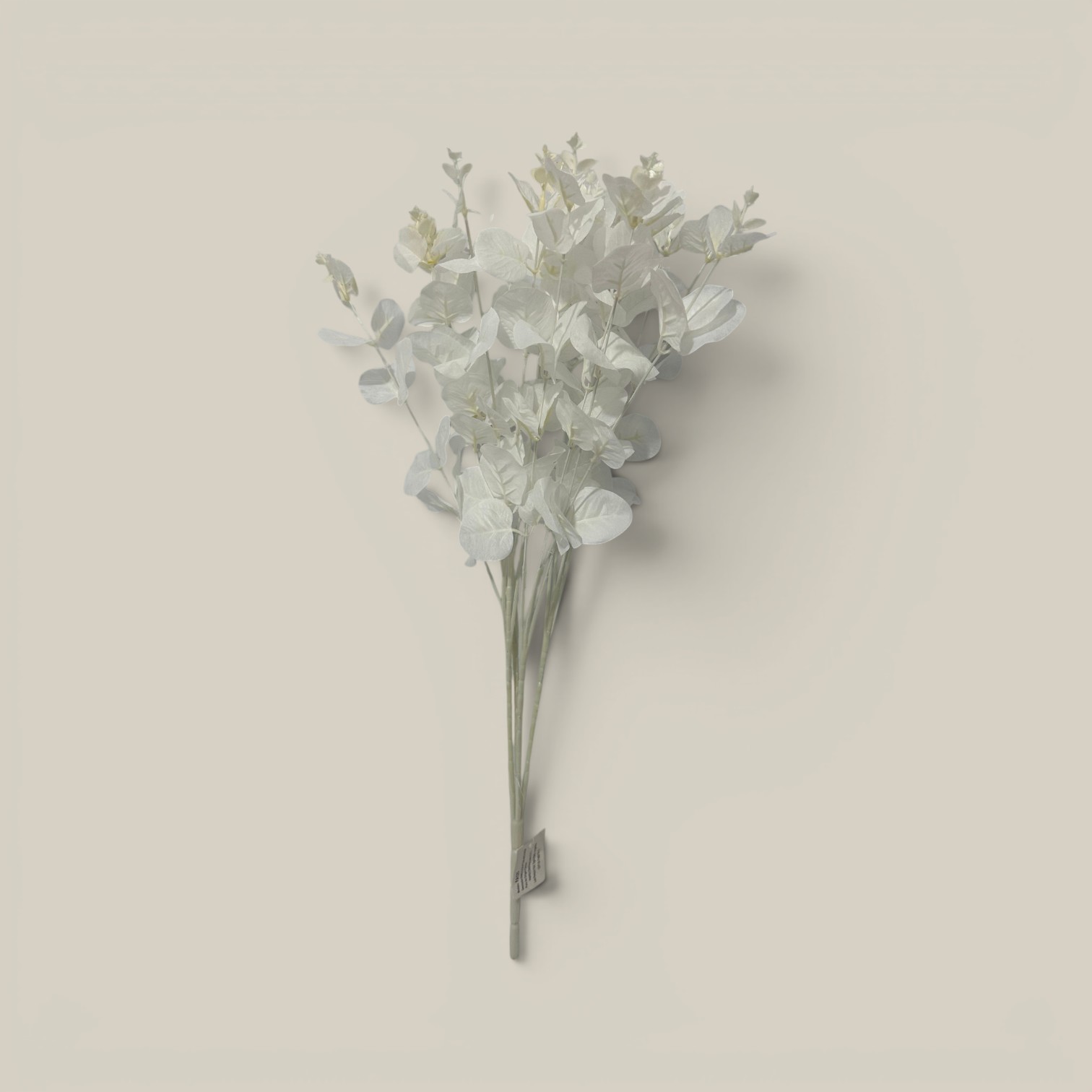 Ramo eucalipto blanco 50cm