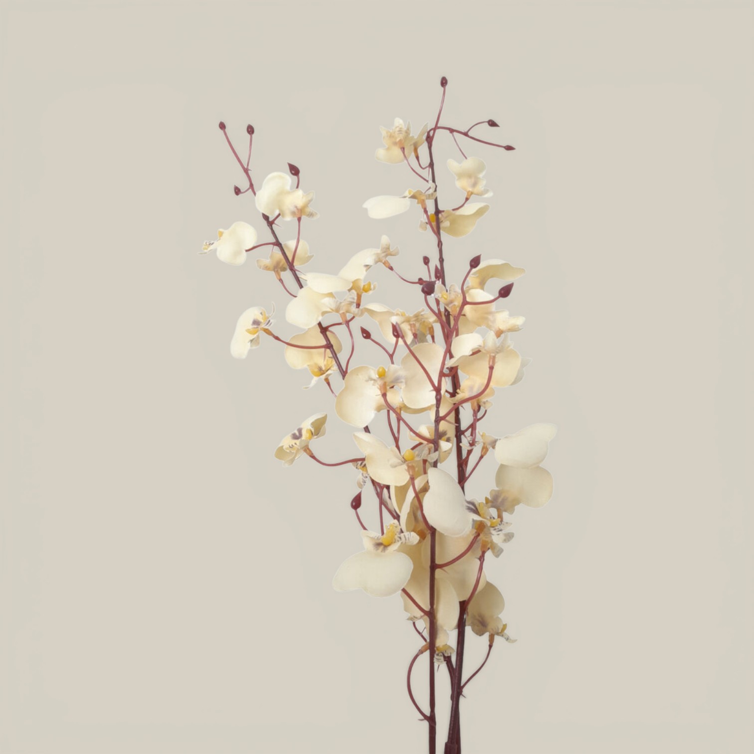 Rama orquidea blanca 88cm